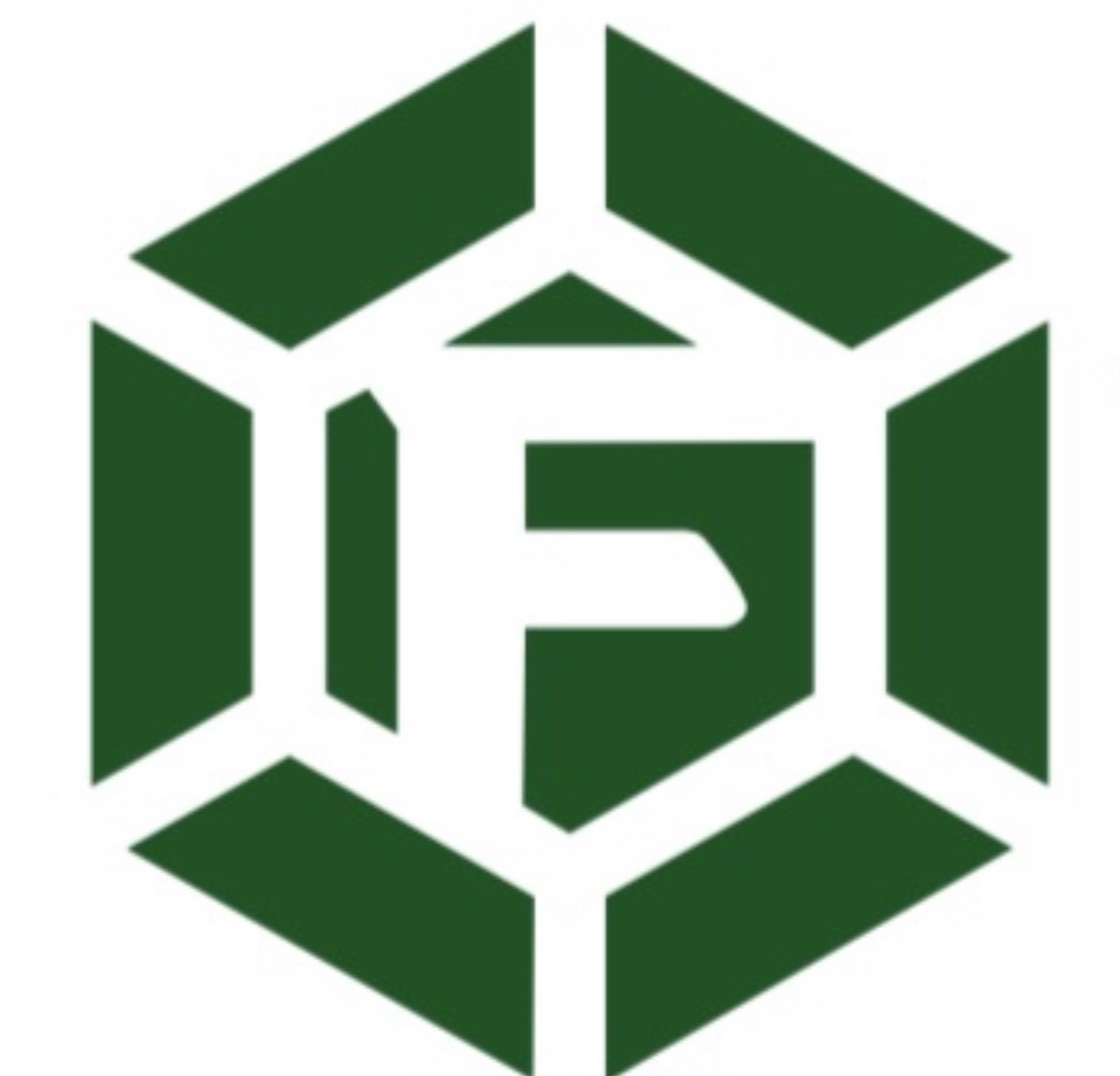 Focus Utility Services logo
